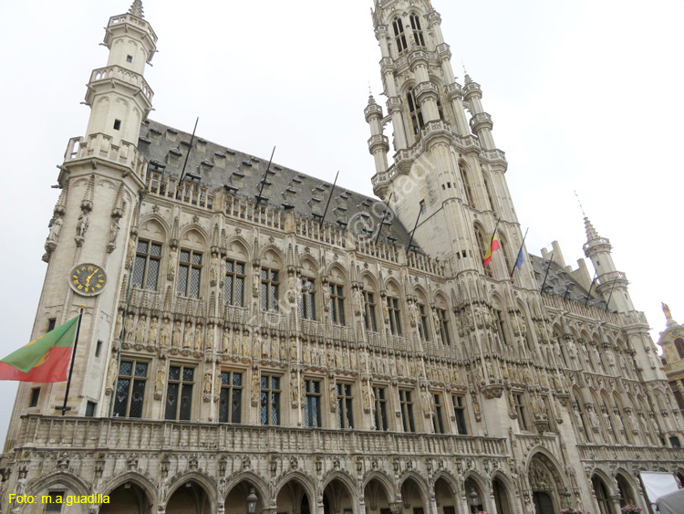 BRUSELAS (160) Grand Place