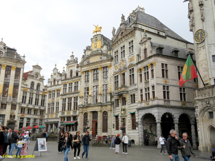 BRUSELAS (161) Grand Place