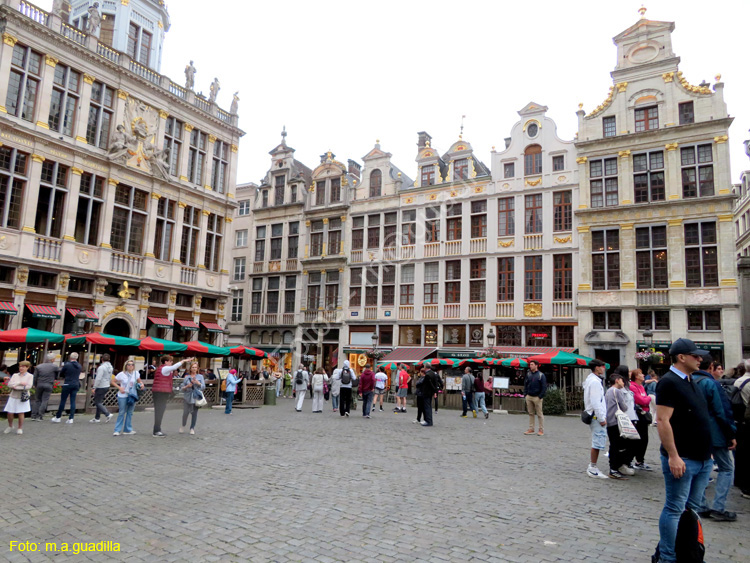 BRUSELAS (162) Grand Place