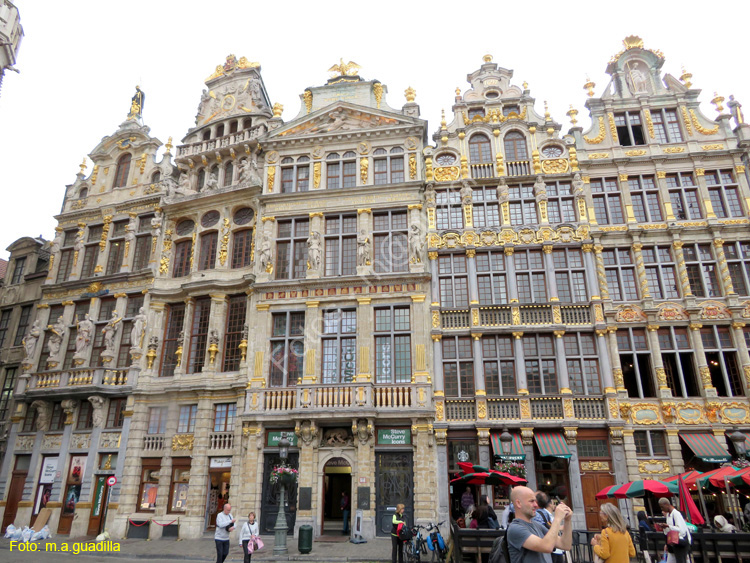 BRUSELAS (164) Grand Place