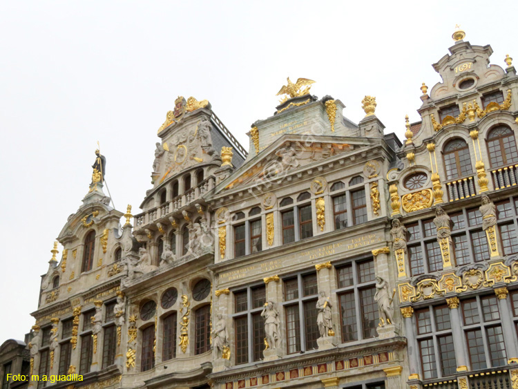 BRUSELAS (166) Grand Place