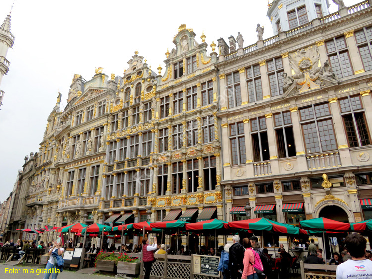 BRUSELAS (171) Grand Place