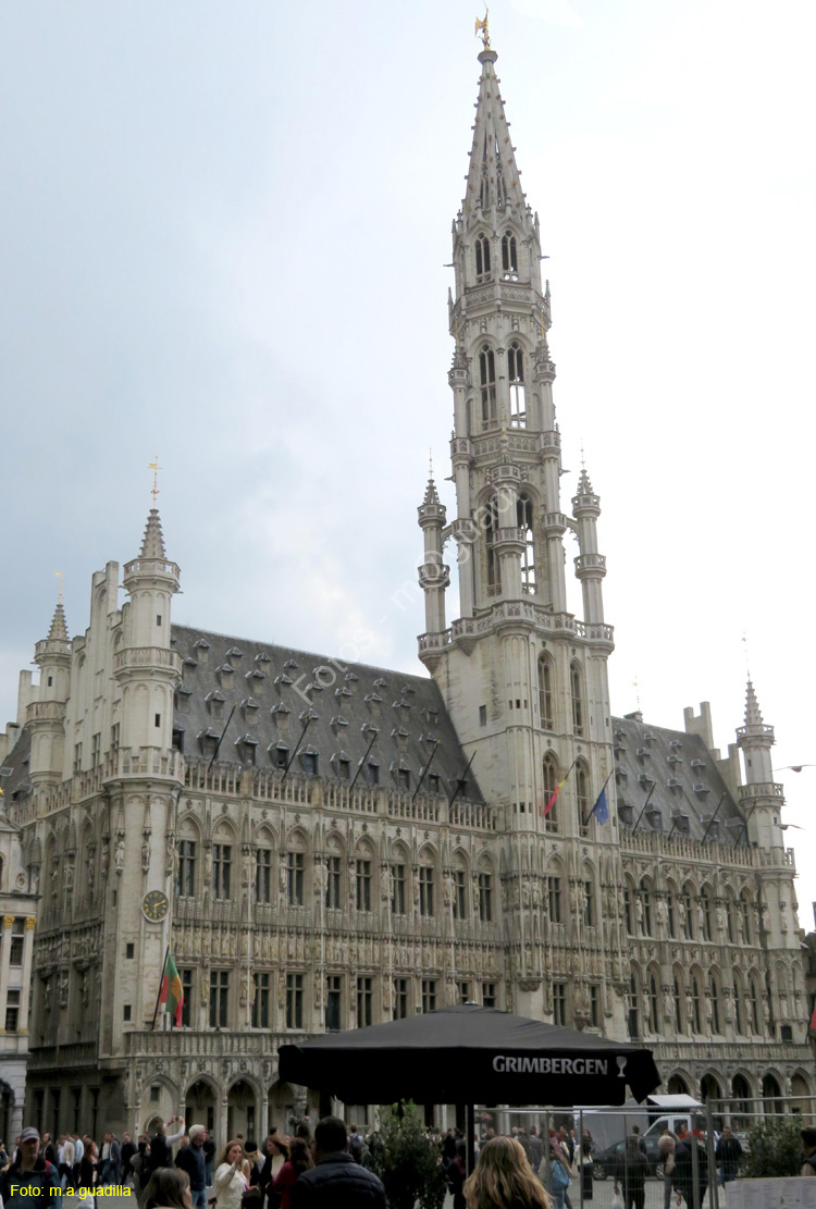 BRUSELAS (172) Grand Place - Ayuntamiento