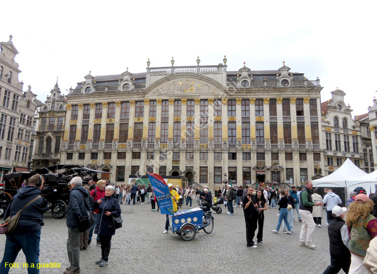 BRUSELAS (183) Grand Place