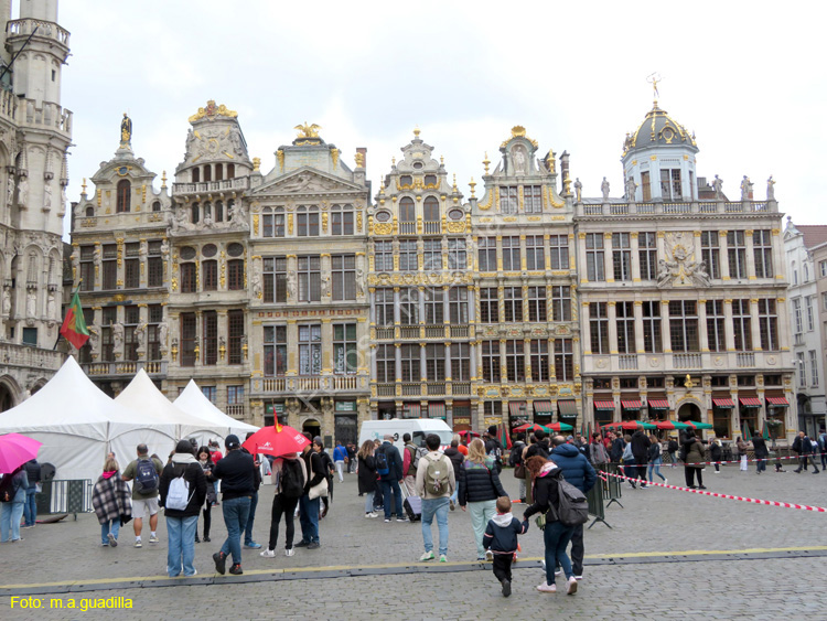 BRUSELAS (186) Grand Place