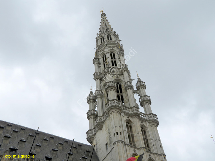 BRUSELAS (188) Grand Place