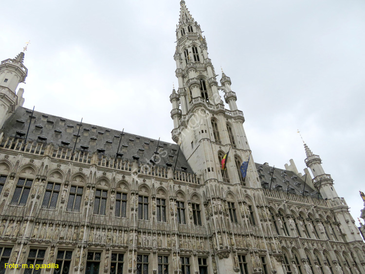 BRUSELAS (189) Grand Place