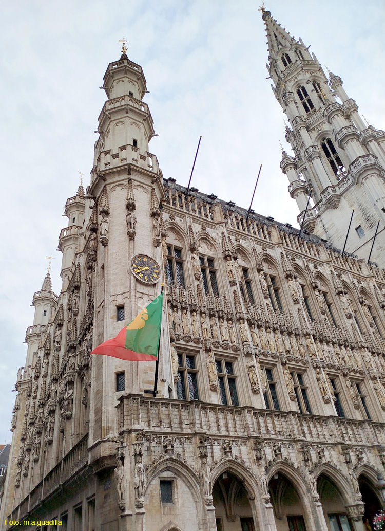 BRUSELAS (191) Grand Place