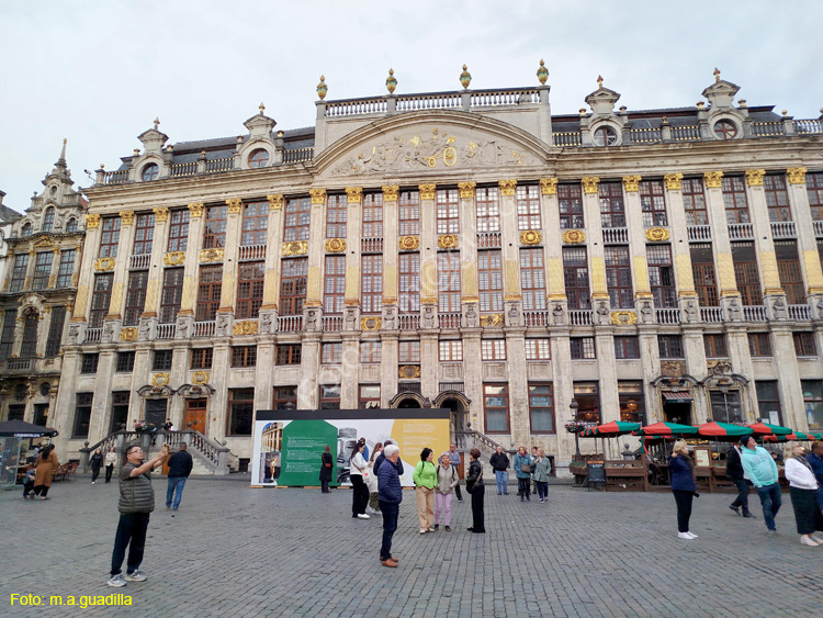 BRUSELAS (194) Grand Place