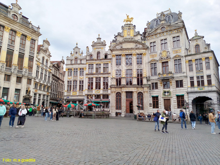 BRUSELAS (195) Grand Place