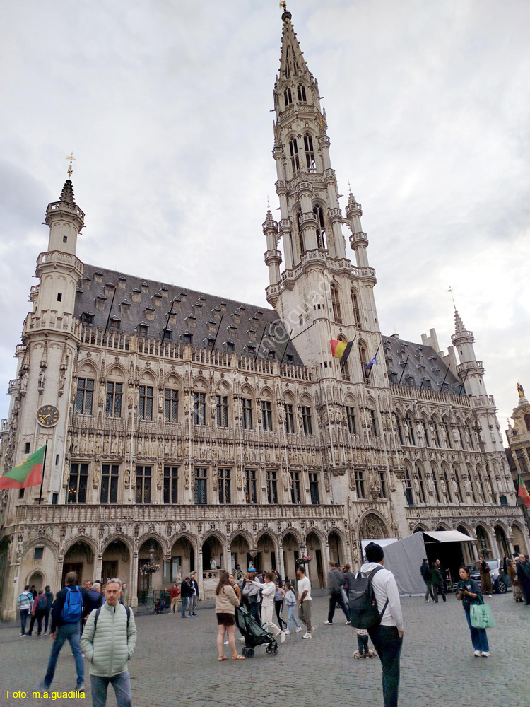 BRUSELAS (196) Grand Place