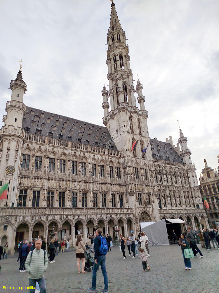 BRUSELAS (197) Grand Place
