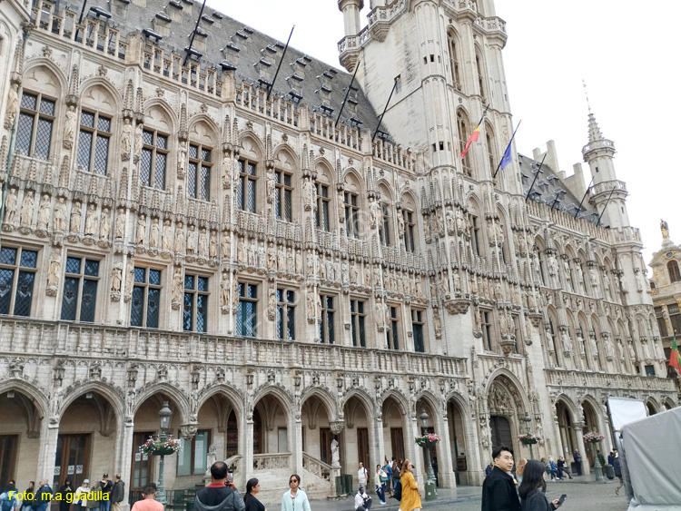 BRUSELAS (206) Grand Place