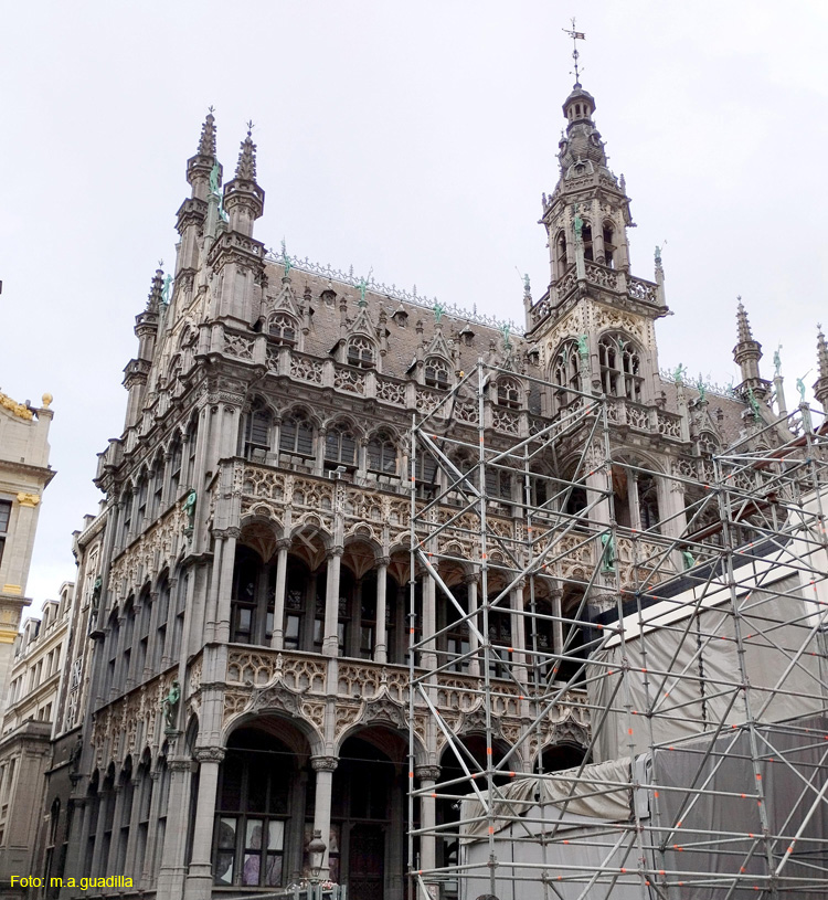 BRUSELAS (208) Grand Place
