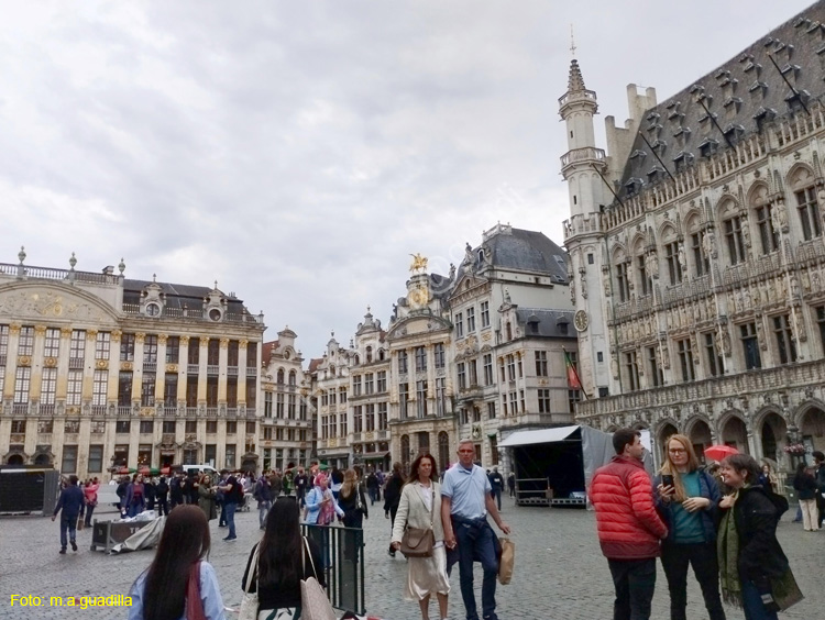 BRUSELAS (209) Grand Place