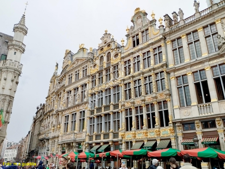BRUSELAS (215) Grand Place