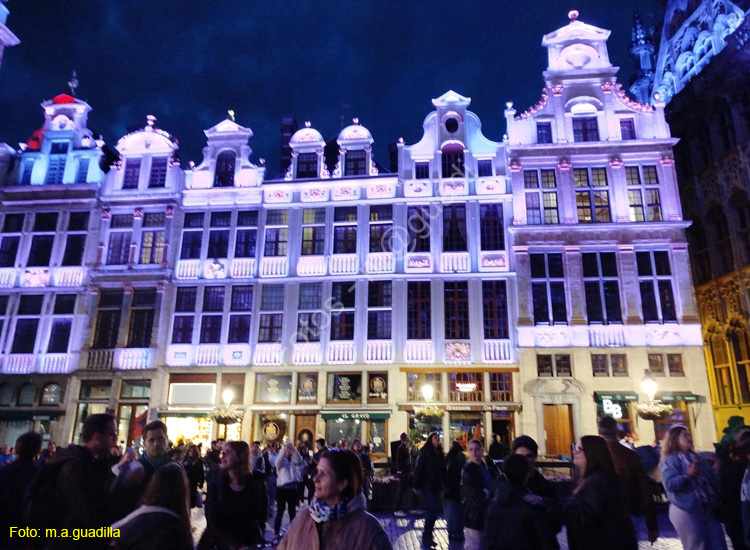 BRUSELAS (217) Grand Place