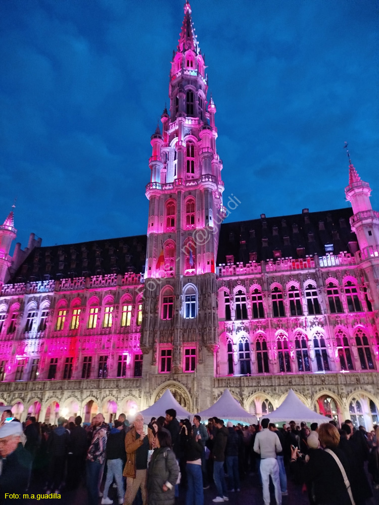 BRUSELAS (218) Grand Place