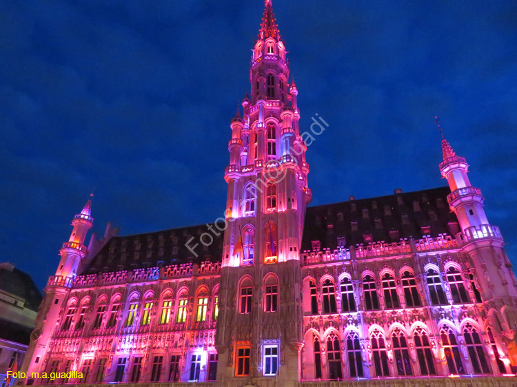 BRUSELAS (219) Grand Place