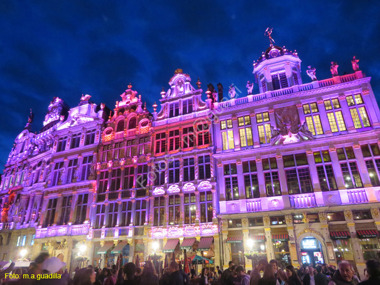 BRUSELAS (221) Grand Place