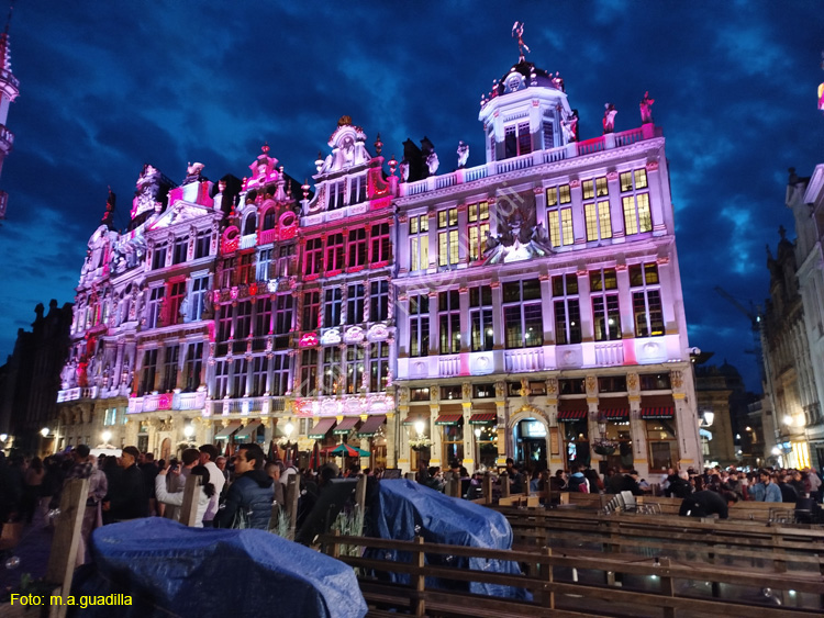 BRUSELAS (222) Grand Place