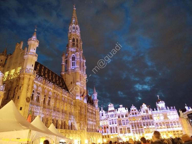 BRUSELAS (225) Grand Place