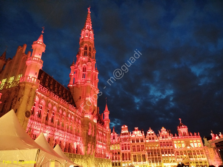 BRUSELAS (230) Grand Place