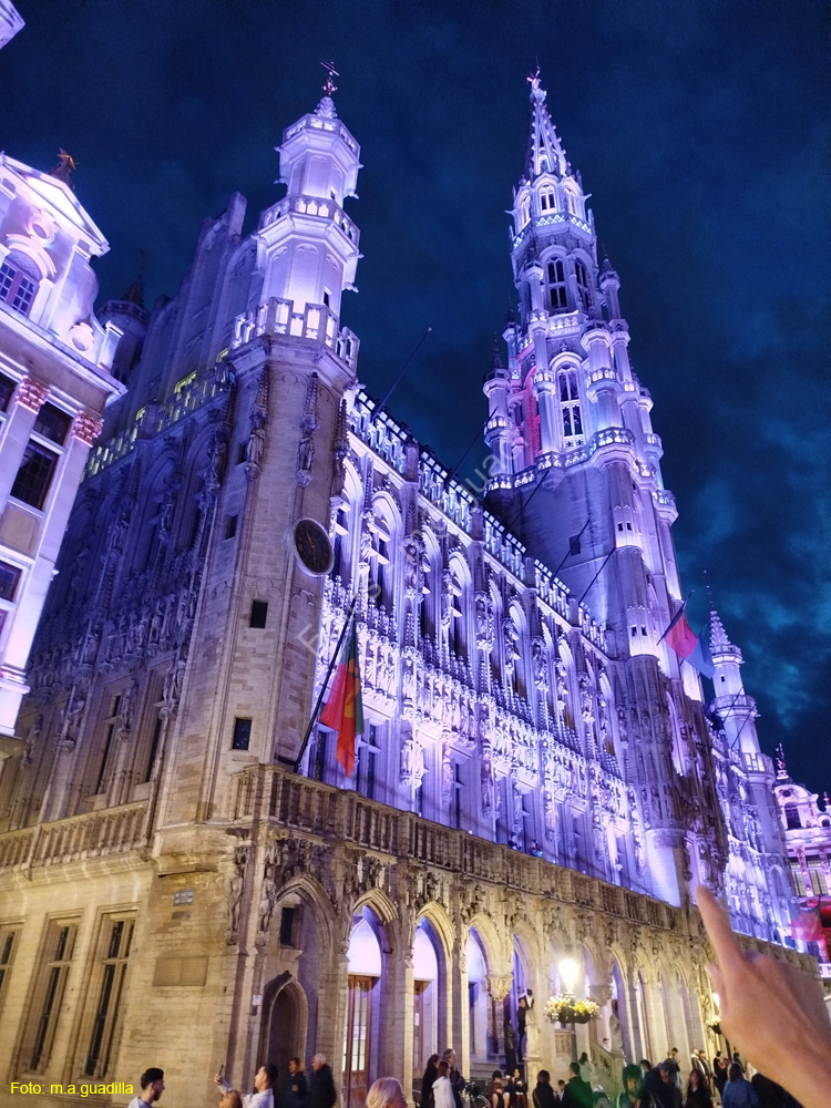 BRUSELAS (235) Grand Place