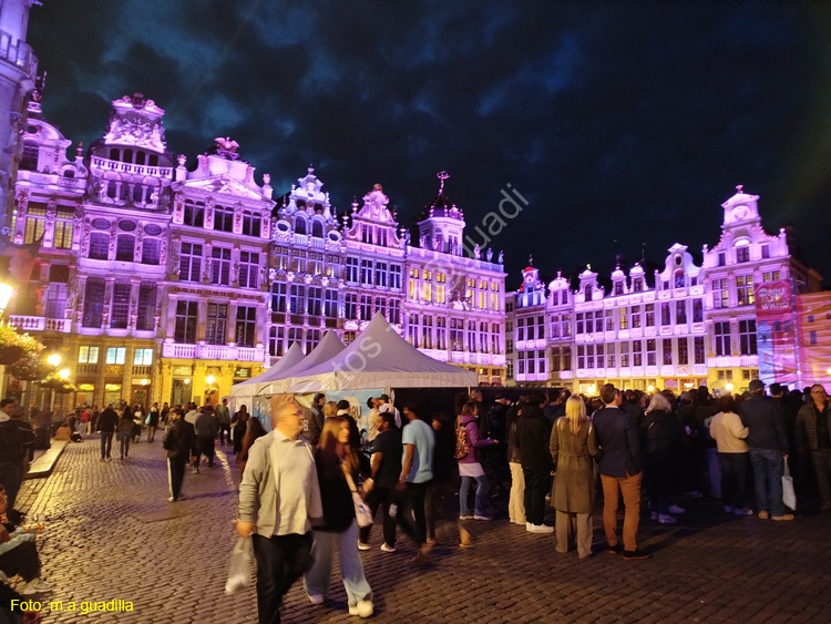 BRUSELAS (239) Grand Place