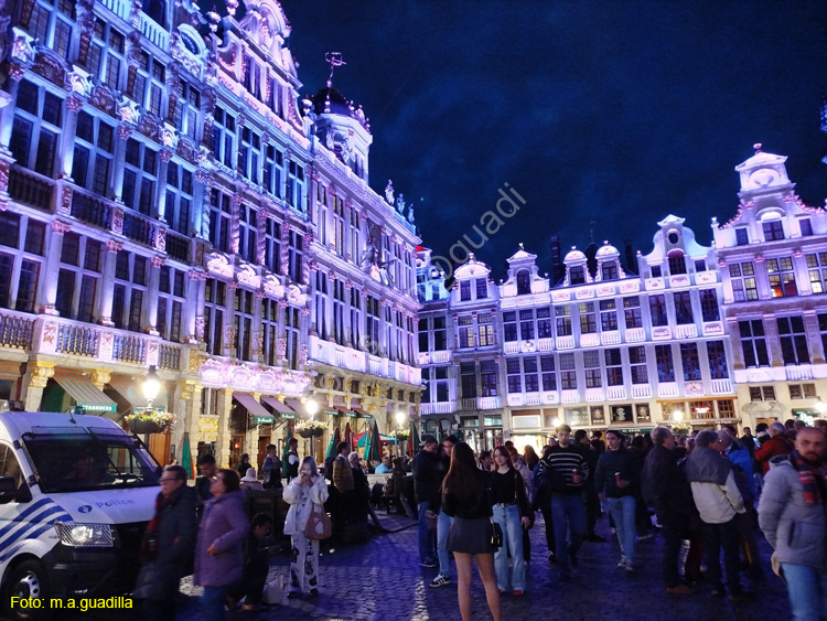 BRUSELAS (240) Grand Place