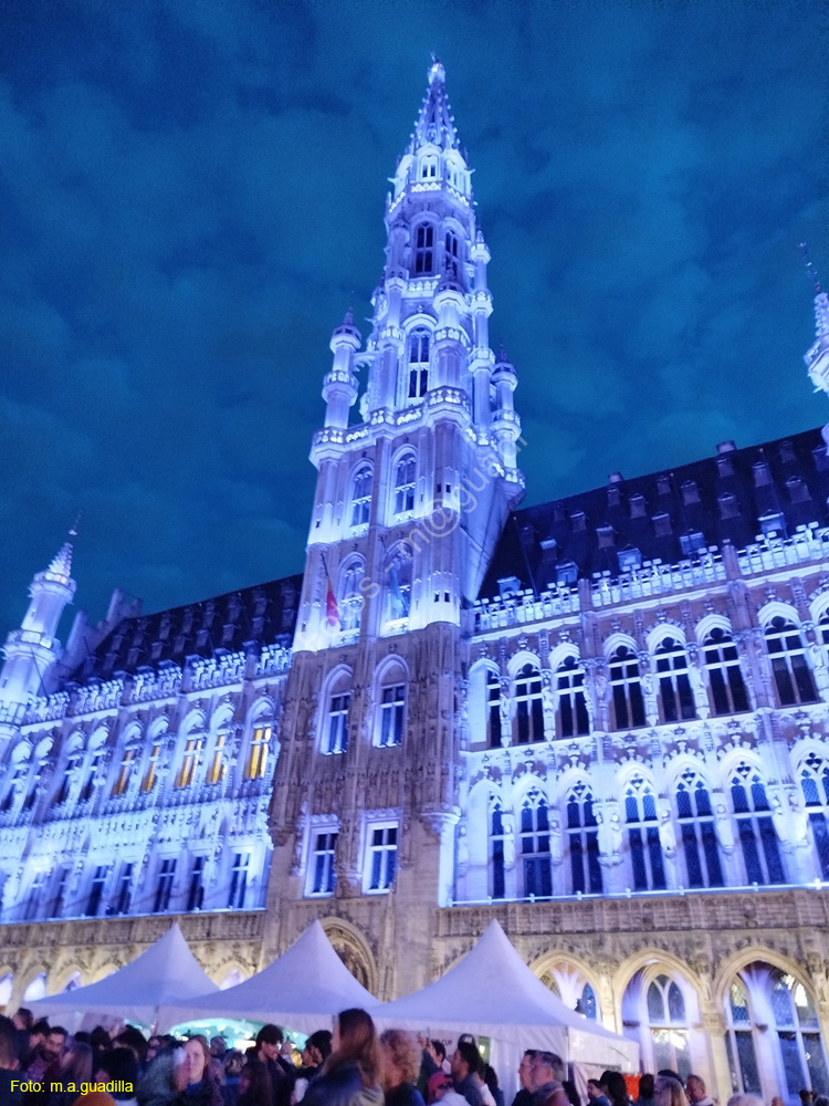 BRUSELAS (242) Grand Place