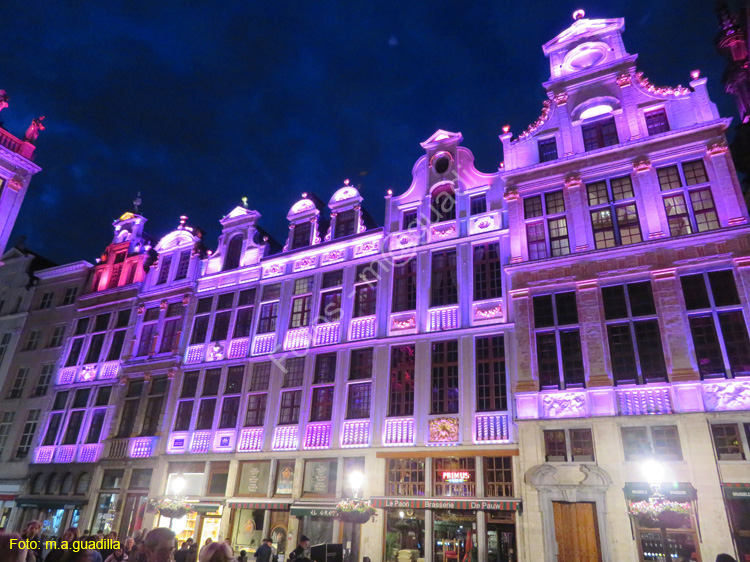 BRUSELAS (245) Grand Place