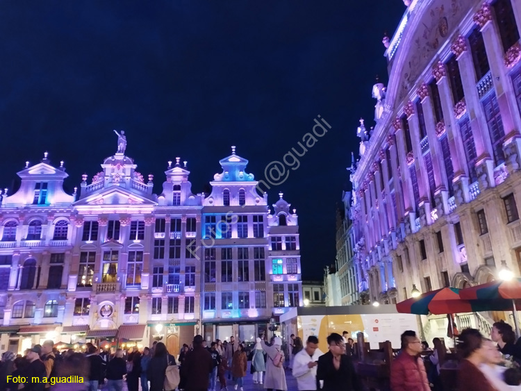 BRUSELAS (252) Grand Place