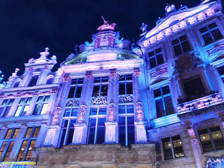 BRUSELAS (253) Grand Place