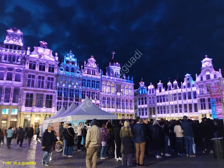BRUSELAS (255) Grand Place