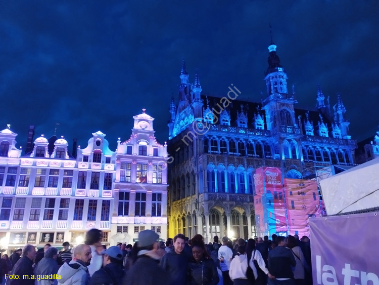 BRUSELAS (256) Grand Place
