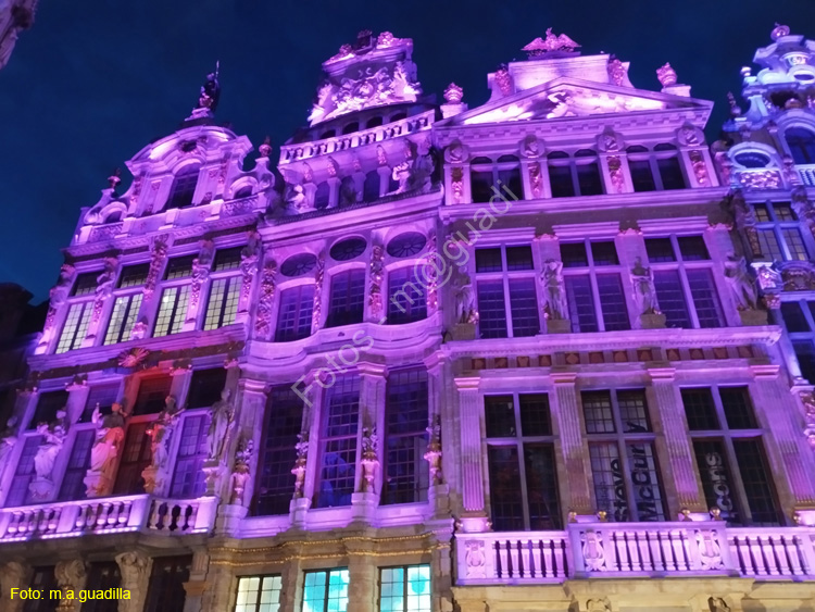 BRUSELAS (257) Grand Place