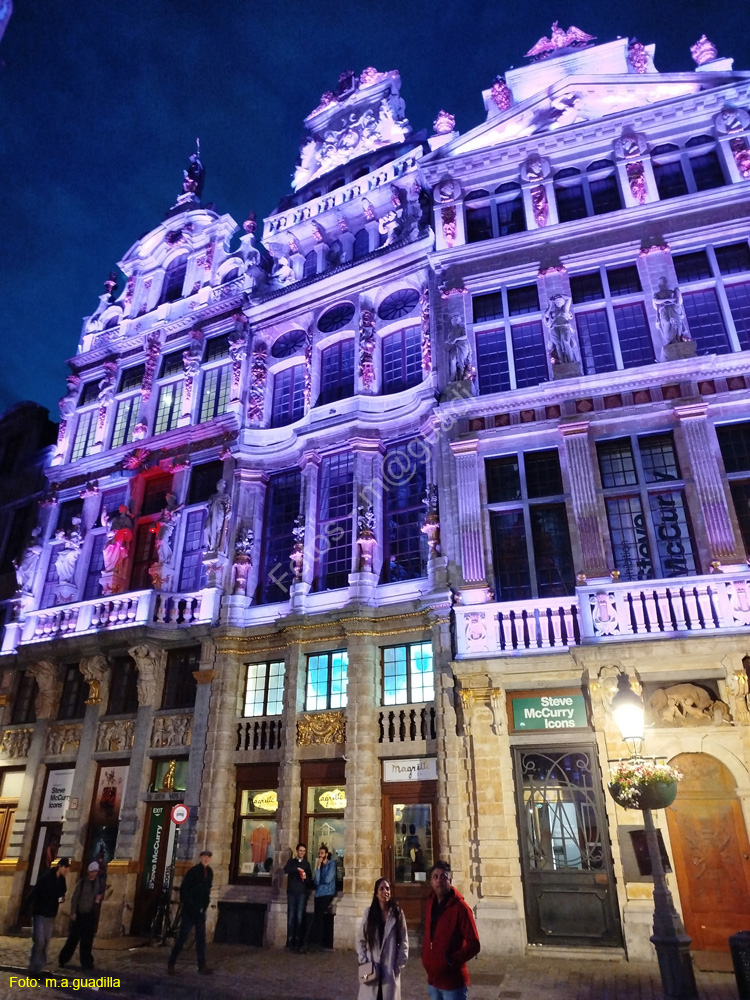 BRUSELAS (259) Grand Place