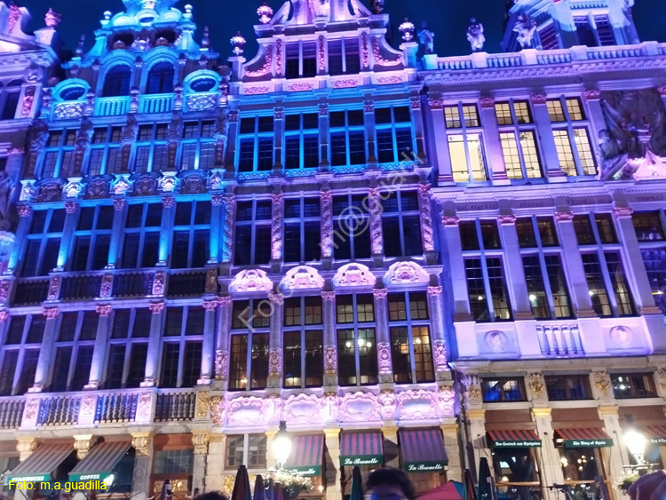 BRUSELAS (260) Grand Place