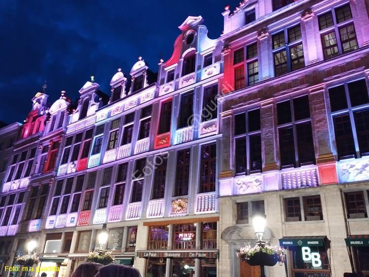 BRUSELAS (262) Grand Place