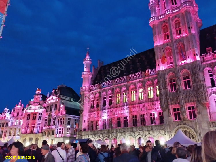 BRUSELAS (264) Grand Place