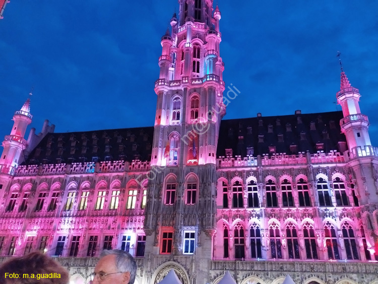 BRUSELAS (266) Grand Place