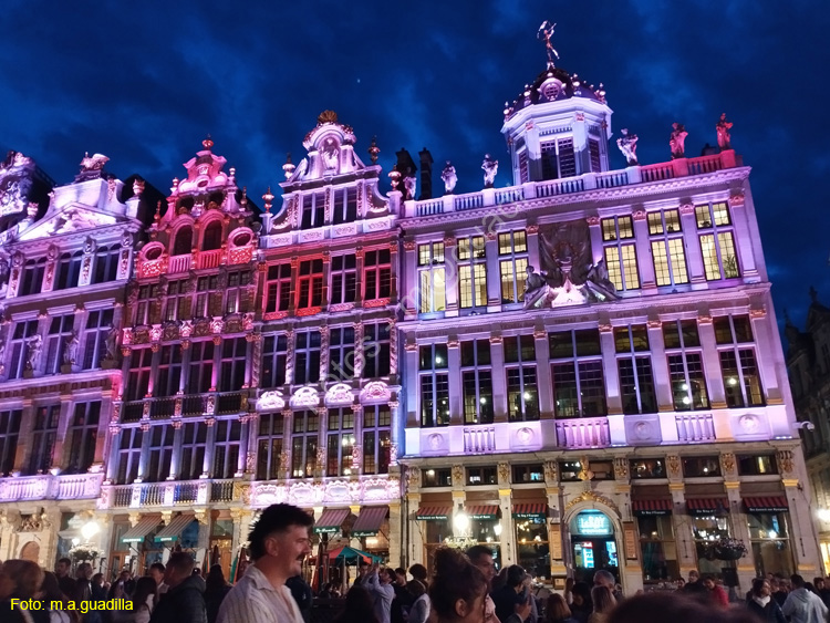 BRUSELAS (267) Grand Place