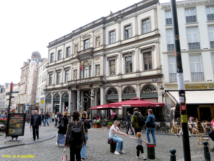 BRUSELAS (294) Galerias Reales Saint Hubert