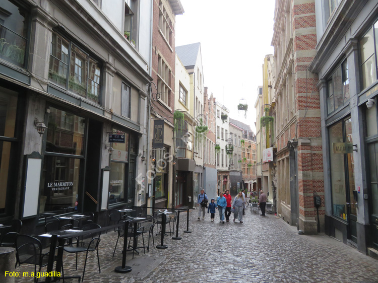 BRUSELAS (304) Rue des Bouchers