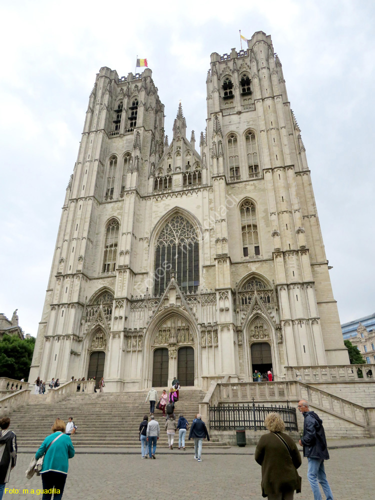 BRUSELAS (309) Catedral de San Miguel y Santa Gudula
