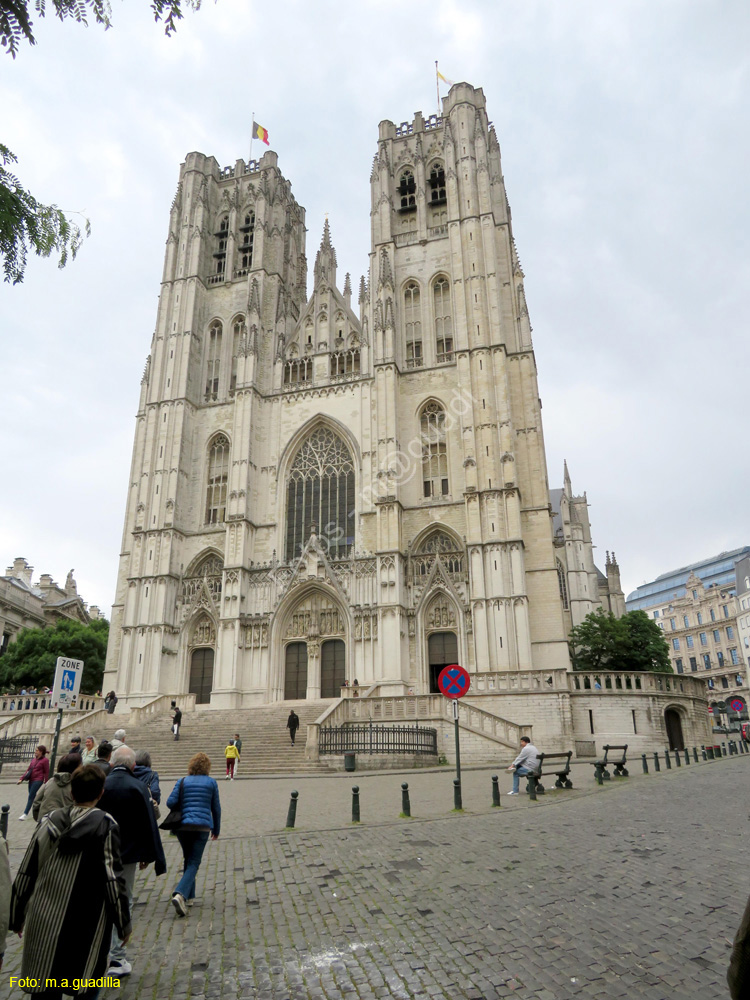 BRUSELAS (311) Catedral de San Miguel y Santa Gudula