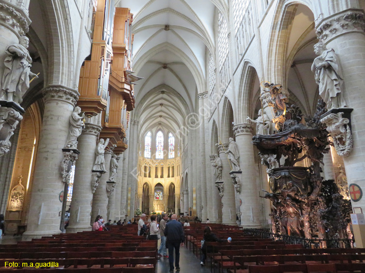 BRUSELAS (322) Catedral de San Miguel y Santa Gudula