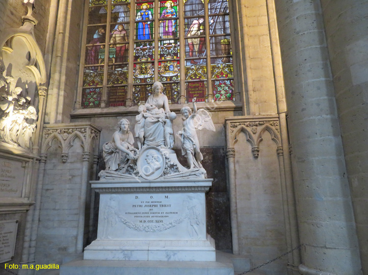 BRUSELAS (333) Catedral de San Miguel y Santa Gudula