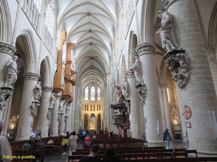 BRUSELAS (336) Catedral de San Miguel y Santa Gudula